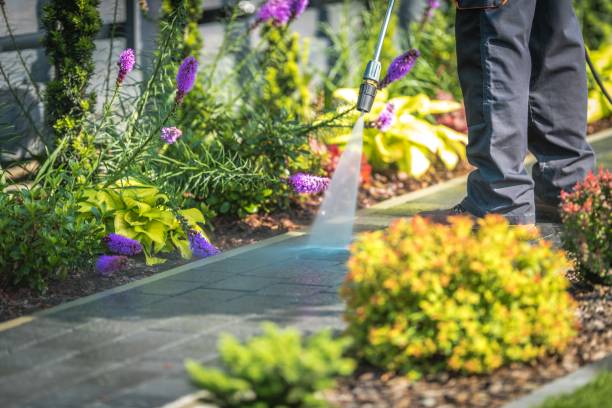 Best Patio and Deck Pressure Washing  in Jacksonville Beach, FL